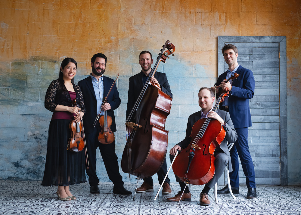Toomai String Quintet